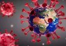 वैज्ञानिकों ने यह बीमारी के लिए दी चेतावनी, कोरोना वायरस से भी 100 गुना ज्यादा जानलेवा
